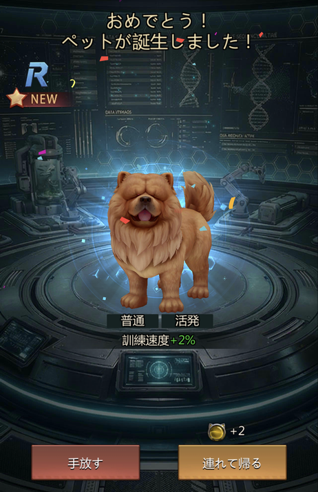ペット誕生